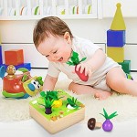Japace Holzspielzeug Montessori Holzpuzzle Karottenernte Baby Motor Fähigkeiten Form und Größe Sortierspiel Farm Pädagogisches Lernspielzeug für Kinder