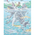 Larsen FH47 Buckelwale in Einer Heringsschule Rahmenpuzzle mit 140 Teilen