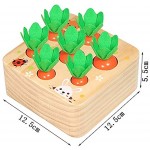 Amasawa Karottenernte Montessori,Karotte Spielzeug Sortierspiel Holz,Geeignet für Jungen und Mädchen über 2 Jahre um im Vorschulalter Feinmotorik zu erlernen